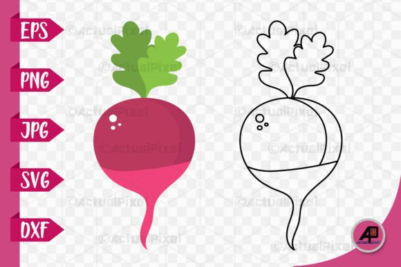 Beetroot Outline with Color Image: Graphics & Illustrations for Crafters