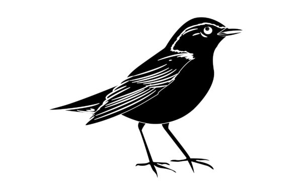 Bird Vector Design Solid Color: Graphics & Illustrations