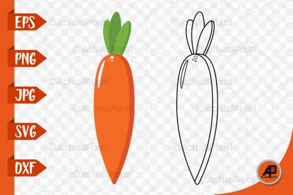 Carrot Outline with Color Clipart: Graphics & Illustrations for Sellers