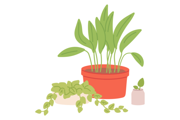 Flowerpot with Growing Plant Color Icon: Graphics & Illustrations