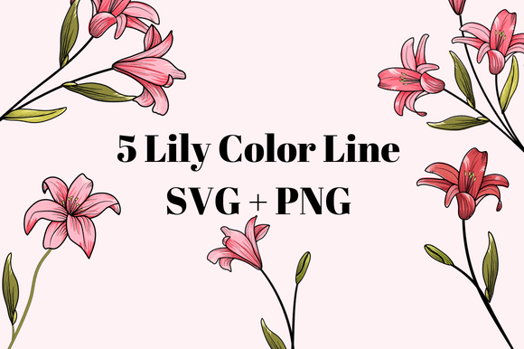 Line Color Lily: A Designer’s Real-World Embroidery Review