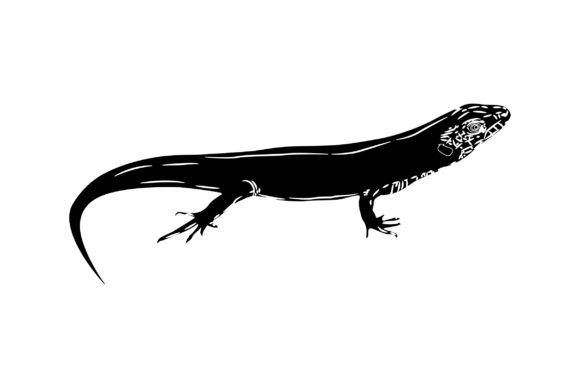 Lizard Vector Design Solid Color: Graphics & Illustrations