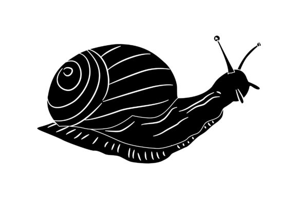 Snail Vector Design Solid Color: Graphics & Illustrations