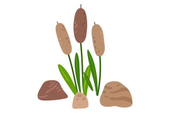 Swamp Reeds. Green Wetland Plants Color Graphics